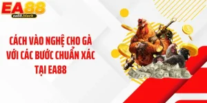 Cách Vào Nghệ Cho Gà Với Các Bước Chuẩn Xác Tại EA88