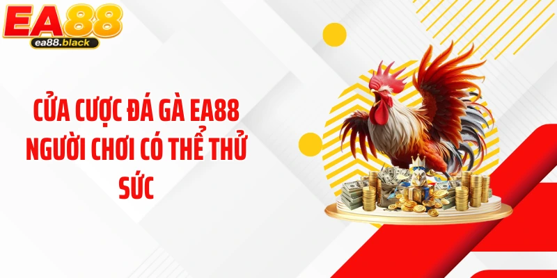 Cửa cược đá gà EA88 người chơi có thể thử sức