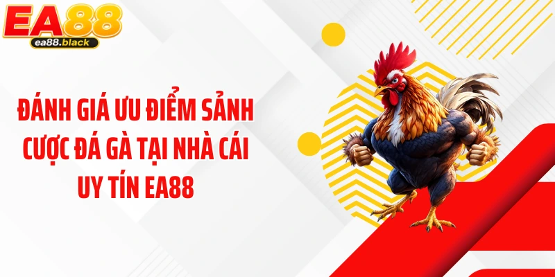 Đánh giá ưu điểm sảnh cược đá gà tại nhà cái uy tín EA88