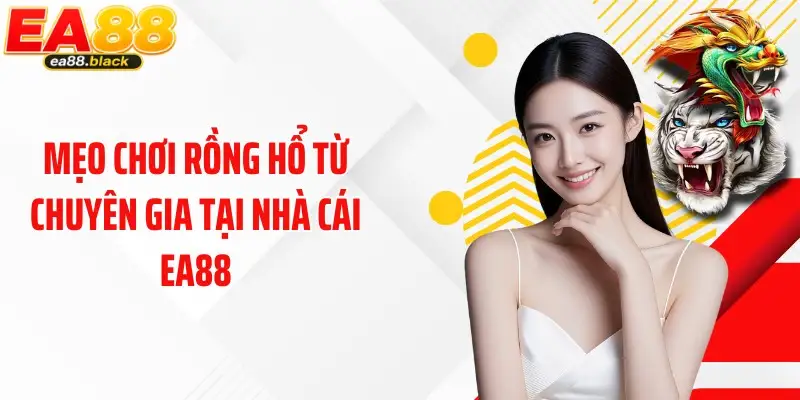 Mẹo chơi Rồng Hổ từ chuyên gia tại nhà cái EA88